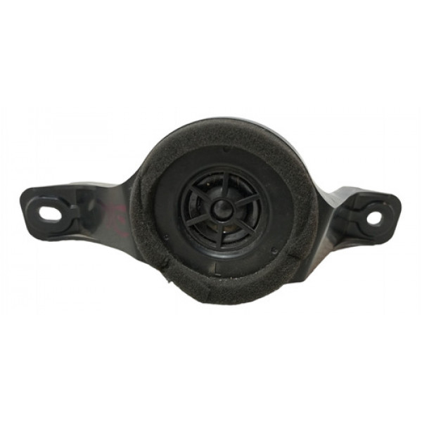 Twitter Porta Diant Esquerda Toyota Rav4 2009 2010 2011 